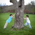 IMG 7823